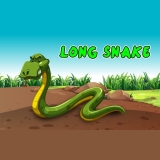 Long Snake