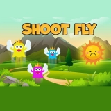 Shoot Fly